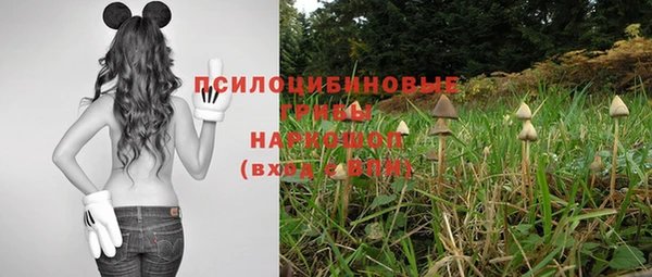 прущая мука Белокуриха