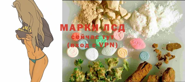 ПСИЛОЦИБИНОВЫЕ ГРИБЫ Балабаново