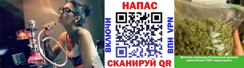 Конопля сатива  Тобольск 